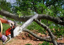 Lawn Grading and Leveling in Wyboo, SC