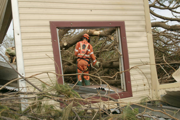 How Our Tree Care Process Works  in  Wyboo, SC